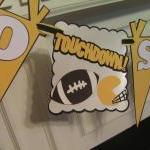 Pittsburg Steelers Fan Bann..